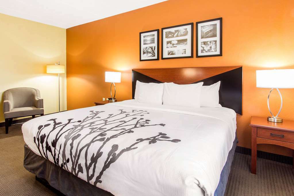 Comfort Inn & Suites Wildwood - The Villages Room photo